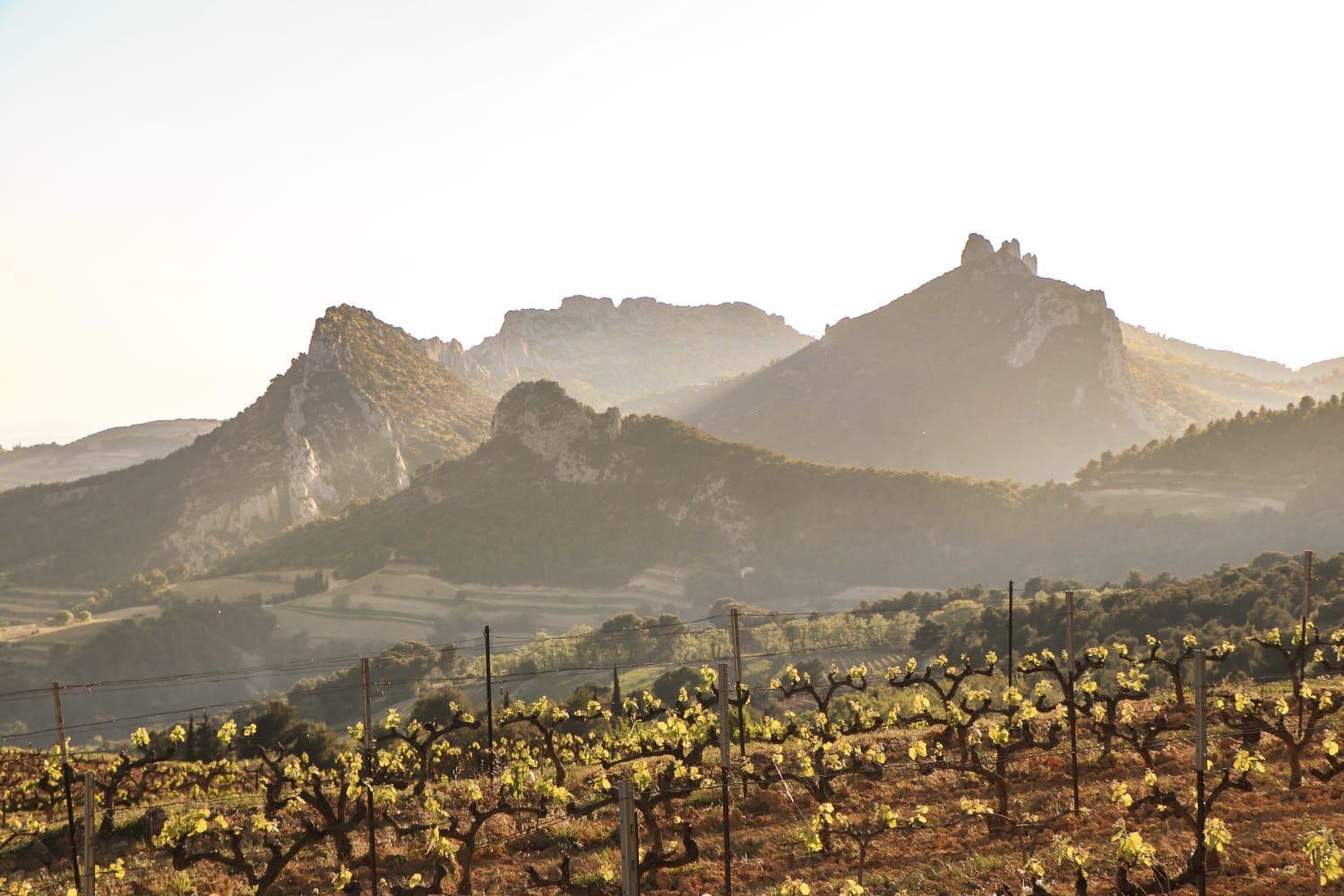Domaine De Cassan Βίλα Lafare Εξωτερικό φωτογραφία